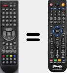 Telecomando sostituto di RCC301