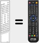 Telecomando sostituto di RC3001