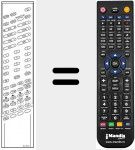 Telecomando sostituto di RC3010