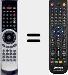 Telecomando sostituto di RCD303