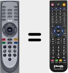 Telecomando sostituto di 21005060