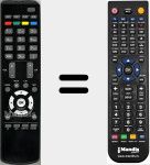 Telecomando sostituto di RC2960 (30068666)