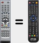 Telecomando sostituto di RG405PVRS2