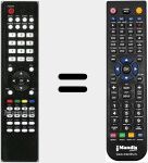 Telecomando sostituto di RCF301