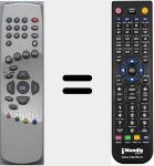 Telecomando sostituto di RC31DXSM