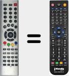 Telecomando sostituto di Changhong003