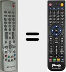 Telecomando sostituto di P40842