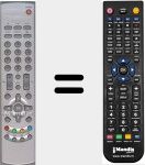 Telecomando sostituto di P40842