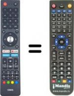 Telecomando equivalente Chiq CHI001