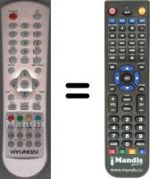 Telecomando equivalente Hyundai WHV3333