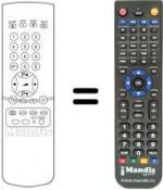 Telecomando equivalente 9177.810.014