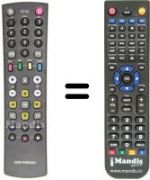 Telecomando equivalente RC 143603 / 00