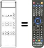 Telecomando equivalente Magnadyne RM 215
