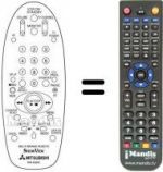 Telecomando equivalente RM 65805