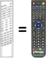 Telecomando equivalente TC 300