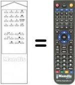 Telecomando equivalente RM 100