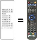 Telecomando equivalente Hitachi C2069H