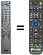 Telecomando equivalente REMCON300