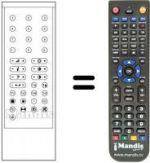 Telecomando equivalente RC1000