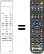 Telecomando equivalente RC505