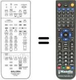 Telecomando equivalente RC9900
