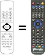 Telecomando equivalente RCF602