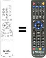 Telecomando equivalente RCN621