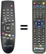Telecomando equivalente RCS300