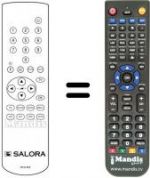 Telecomando equivalente RCS800