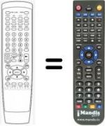 Telecomando equivalente Aeg 2002P