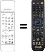 Telecomando equivalente 290P-023090