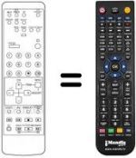 Telecomando equivalente 290P-023A1