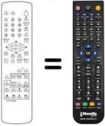 Telecomando equivalente 290P-072A10