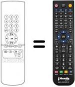 Telecomando equivalente SM 1