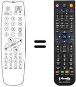 Telecomando equivalente 1007091008 (90 CHANNELS)