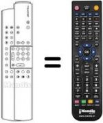 Telecomando equivalente Blaupunkt PS 55-20 VT 7 669 260