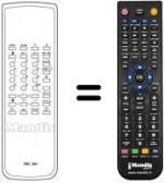 Telecomando equivalente TRC 001