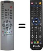 Telecomando equivalente UY2187F4904A