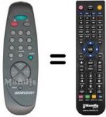 Telecomando equivalente MAESTRO WS 55