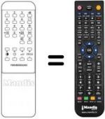 Telecomando equivalente REMCON113