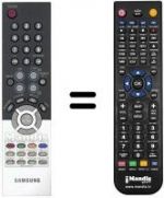 Telecomando equivalente Samsung BN59-00434A
