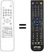 Telecomando equivalente RC613311