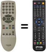 Telecomando equivalente Toshiba 076R0EY010