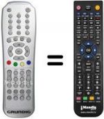 Telecomando equivalente Grundig GULENAR026HDIB