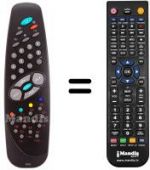 Telecomando equivalente RC1010