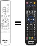 Telecomando equivalente RCN621