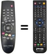 Telecomando equivalente RCS300