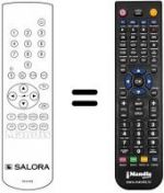 Telecomando equivalente RCS800