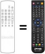Telecomando equivalente Panasonic TX-29AD30I