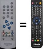 Telecomando equivalente Grundig WHV3128